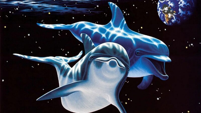 Two Dolphins in Space — Blue, Serene