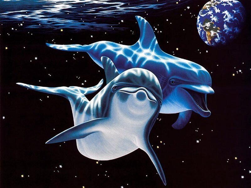 Two Dolphins in Space