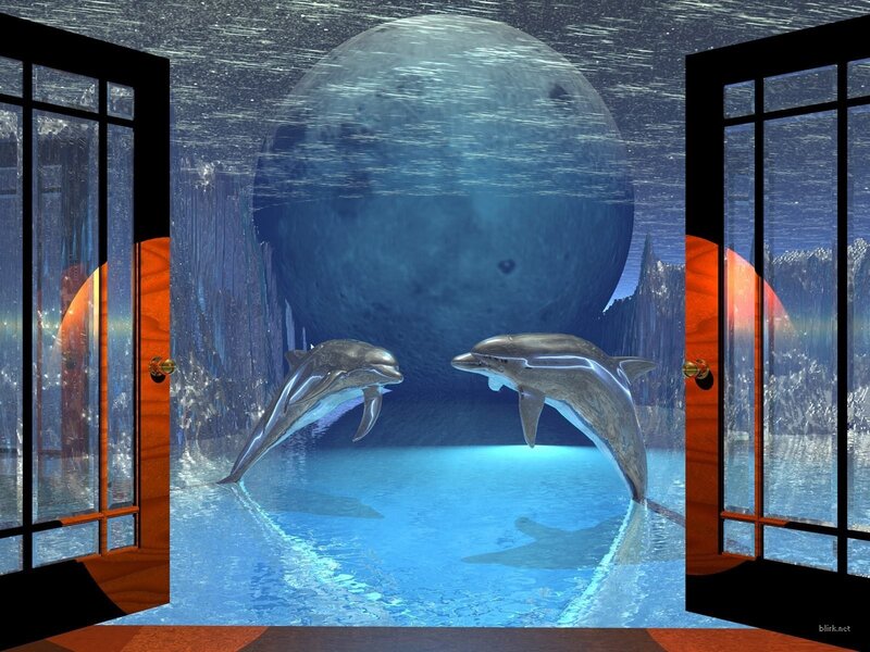 Two Dolphins in Water — Blue, Serene, Night, Digital Art, Moon