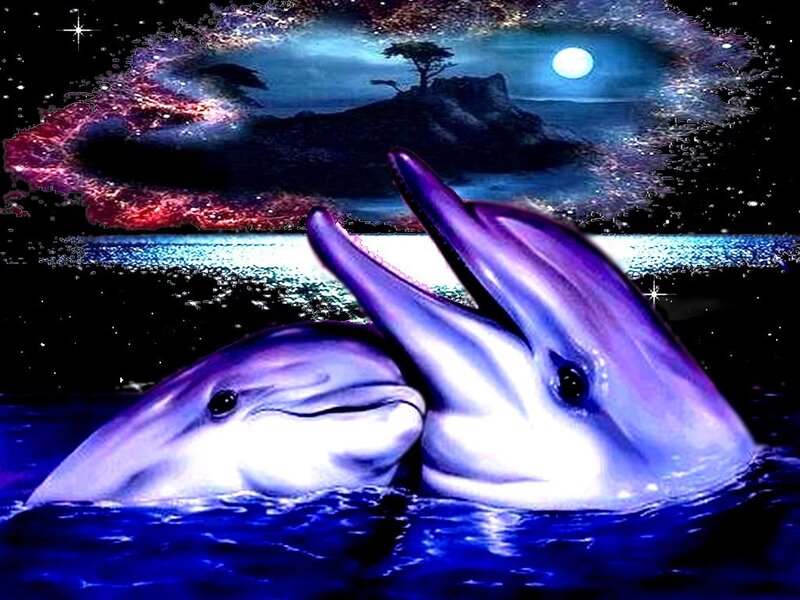 Two Dolphins in Water — Blue, Serene