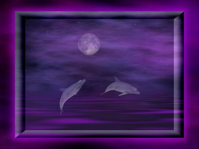 Two Dolphins in Water — Purple, Serene