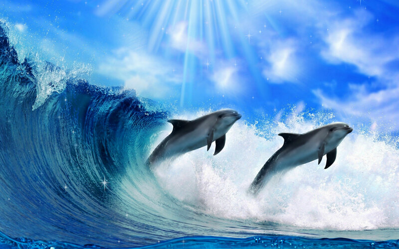 Two Dolphins in Wave