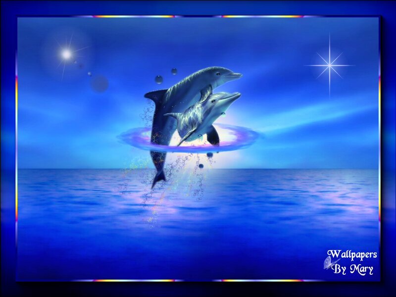 Two Dolphins Jumping — Blue, Serene, Night