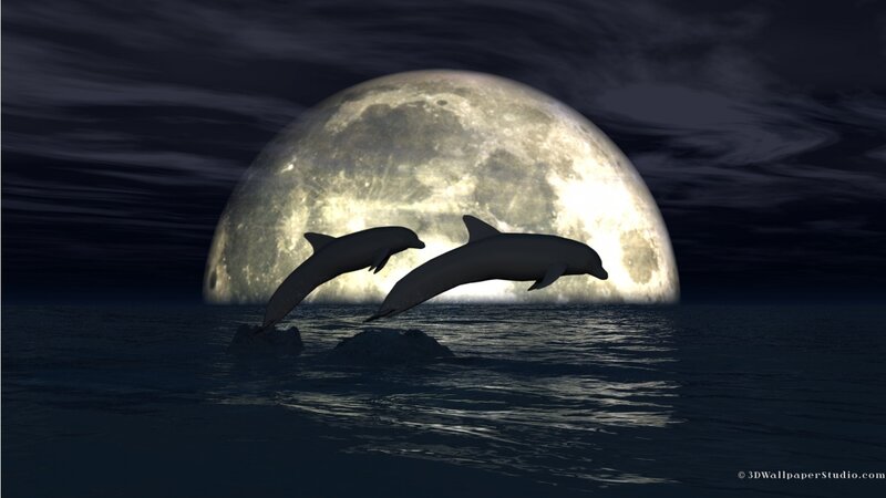 Two Dolphins Jumping — Blue