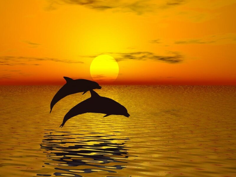 Two Dolphins Jumping — Orange, Serene, Sunset, Digital Art, Sun