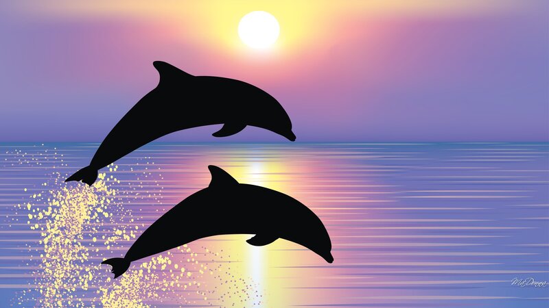 Two Dolphins Jumping — Purple, Serene, Sunset