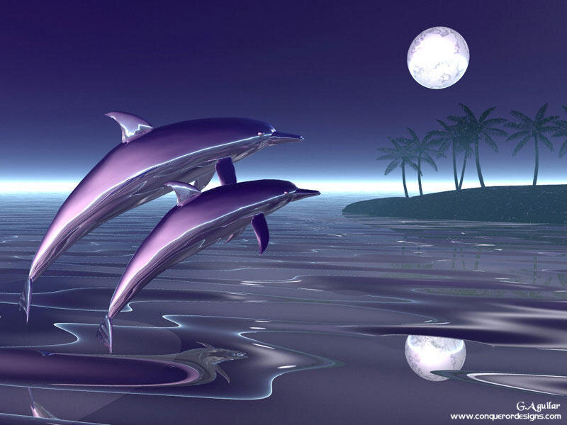 Two Dolphins Jumping — Purple