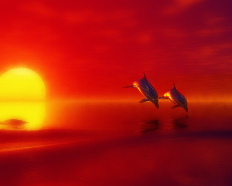 Two Dolphins Jumping