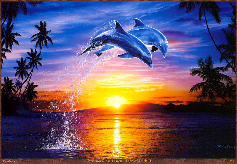 Two Dolphins Leaping