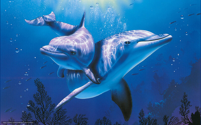 Two Dolphins Swimming — Blue, Serene, Digital Art, Bubbles, Coral