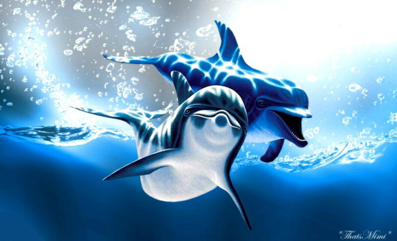 Two Dolphins Swimming — Blue, Serene, Digital Art, Bubbles, Ocean