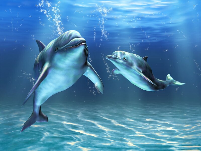 Two Dolphins Swimming — Blue, Serene, Digital Art, Bubbles