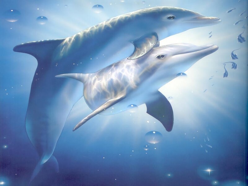 Two Dolphins Swimming — Blue