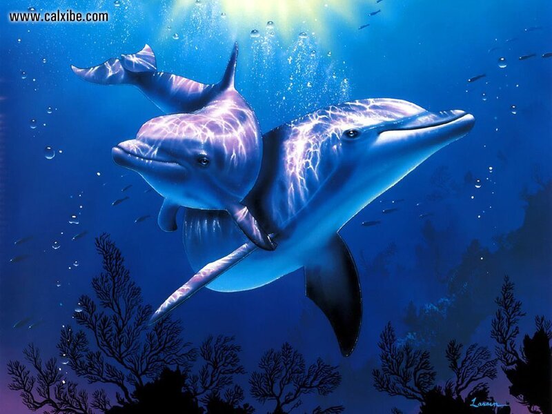 Two Dolphins Swimming