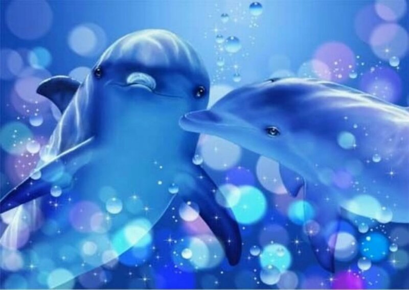 Two dolphins swimming together