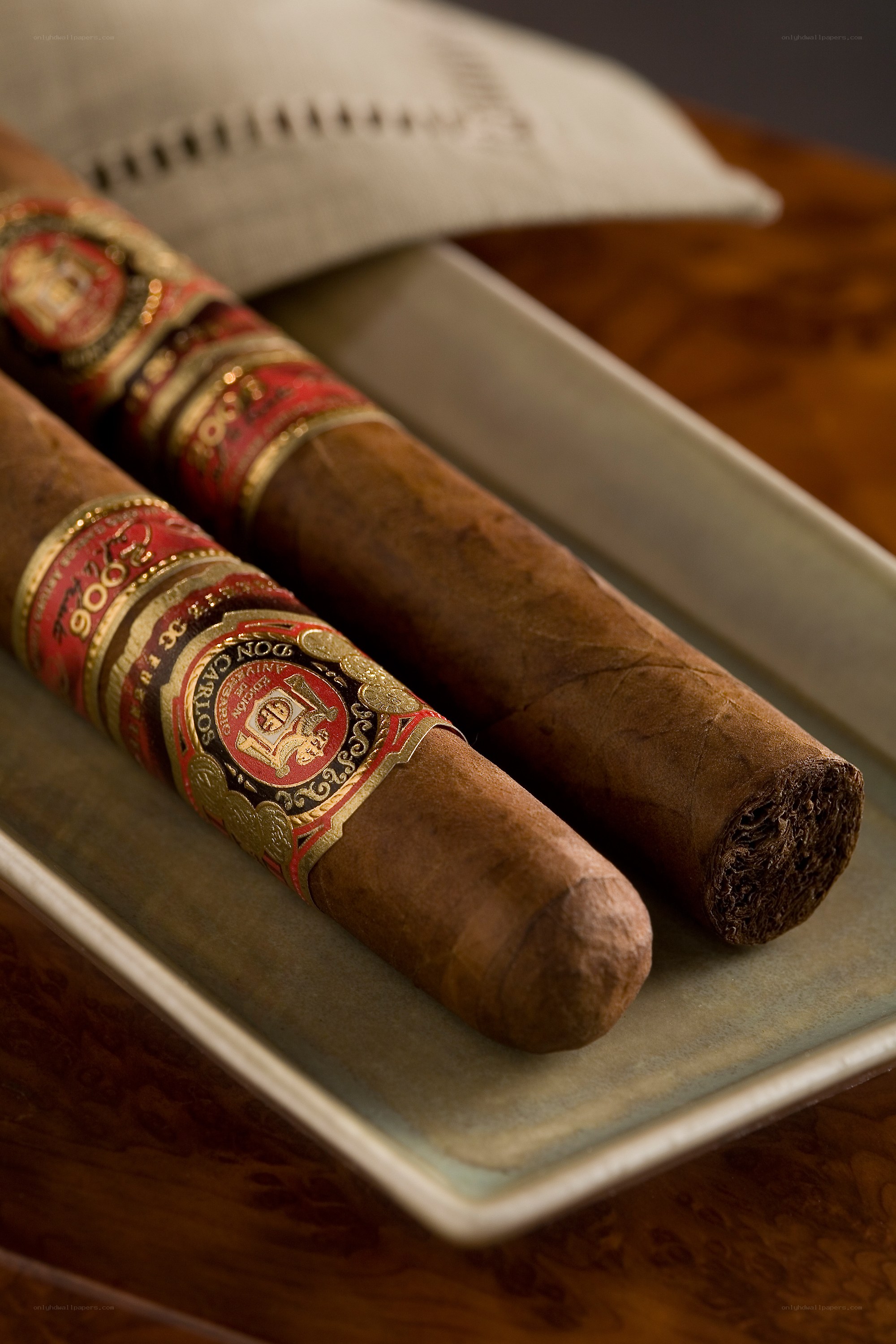 Two Don Carlos cigars on a tray