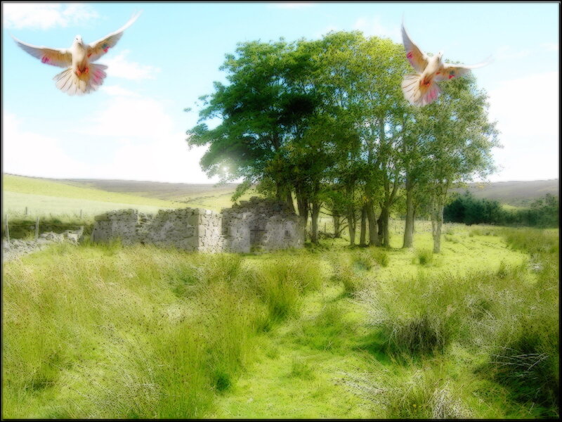 Two Doves Flying — Green