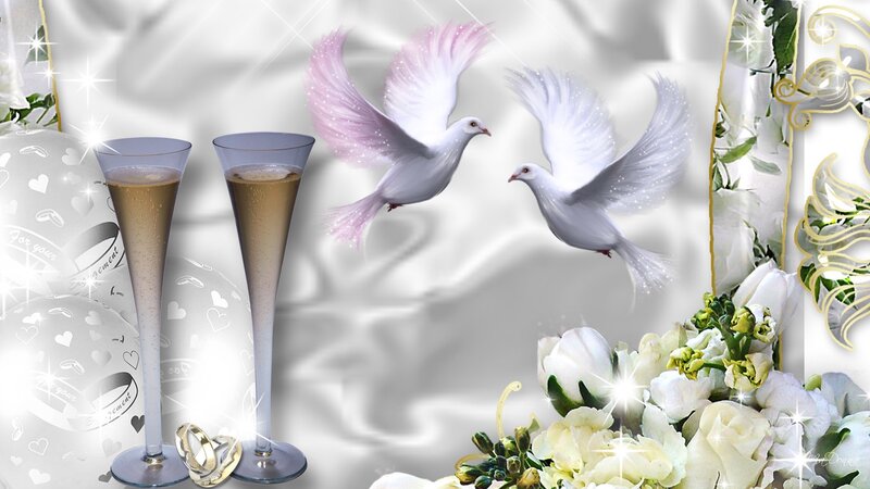 Two Doves Flying — White