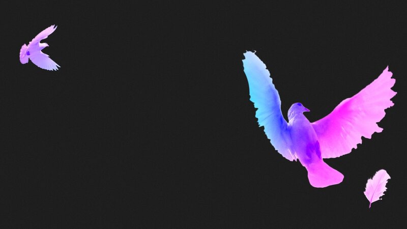 Two Doves in Flight