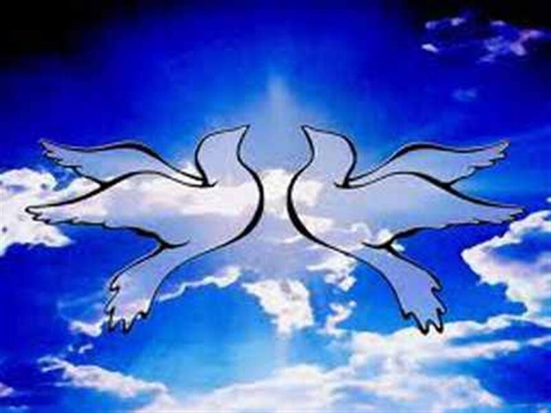 Two Doves in Sky