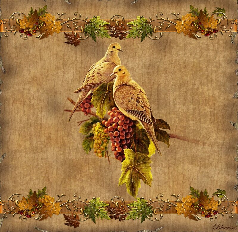 Two Doves on Grapes