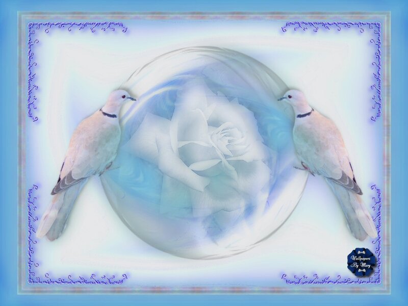 Two Doves with Rose