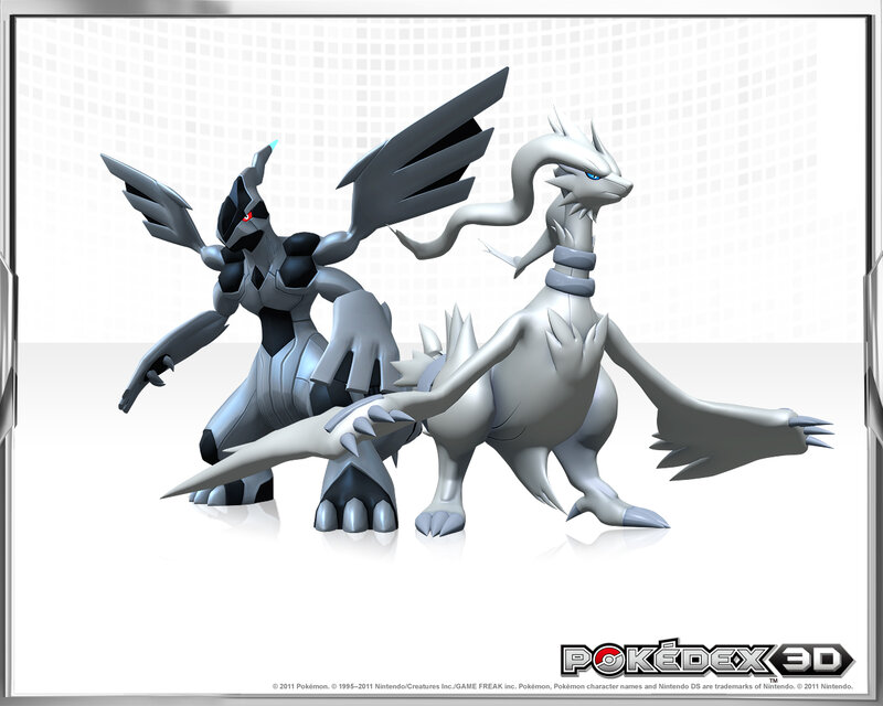 Two Dragon-like Creatures — Gray