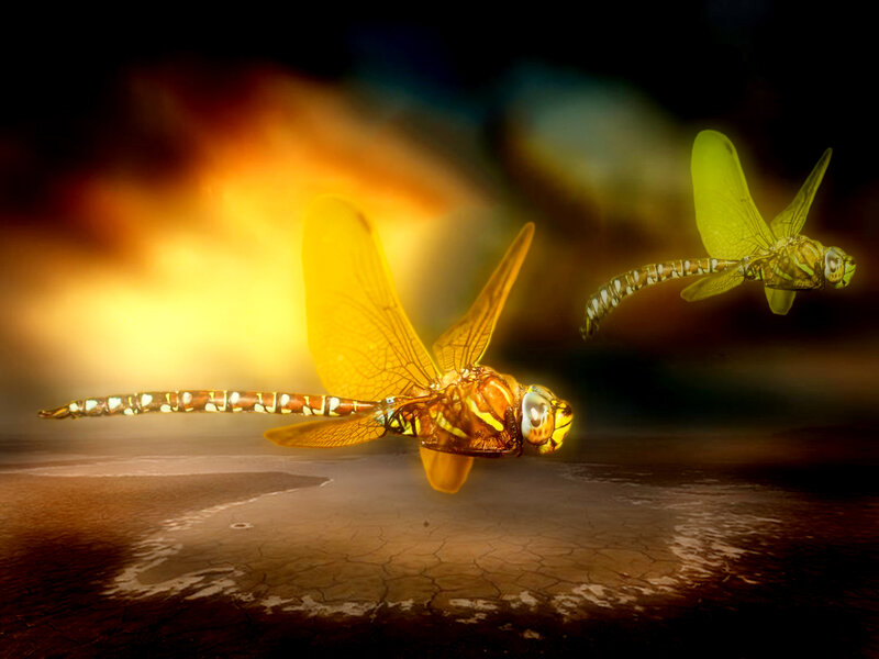 Two Dragonflies in Flight — Yellow, Dramatic