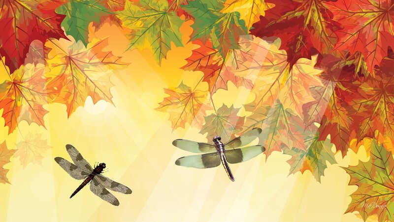 Two Dragonflies in Flight — Yellow