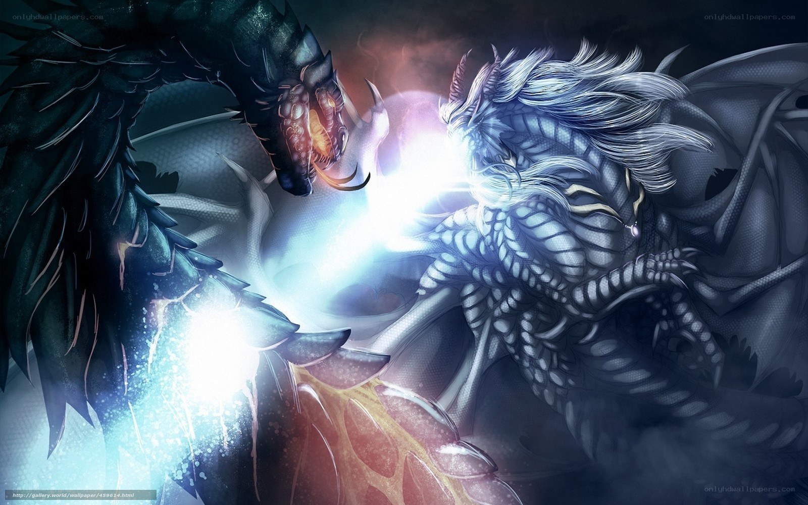Two dragons clash in battle