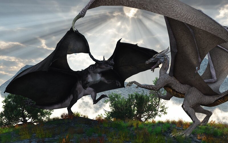 Two Dragons Fighting — Gray, Dramatic, Sunset