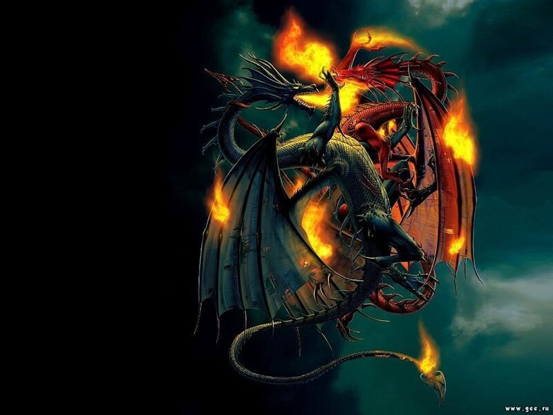 Two dragons fighting in fire