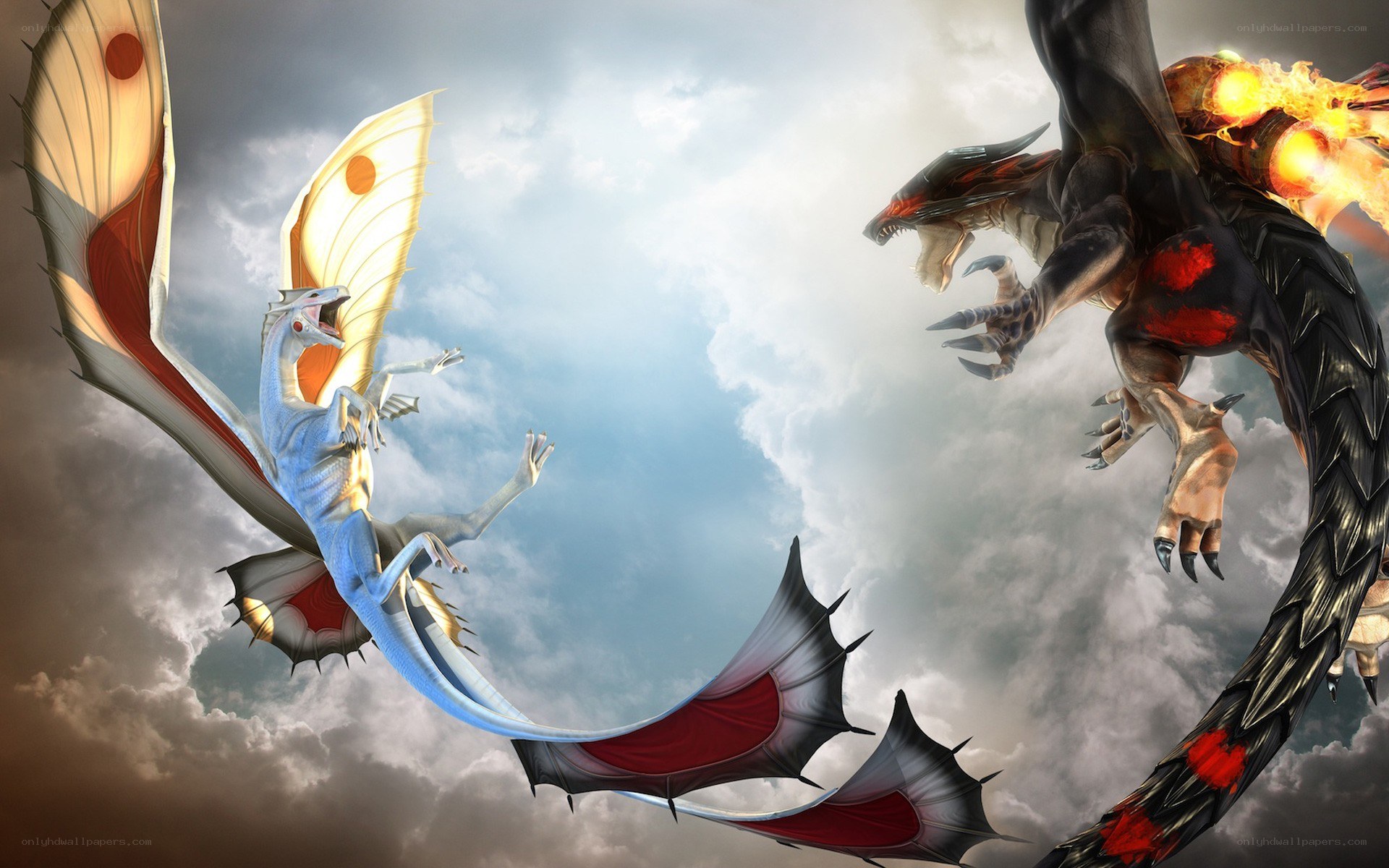 Two dragons in aerial battle