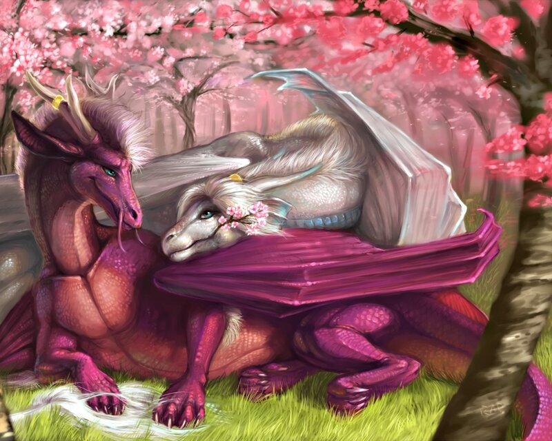 Two Dragons in Cherry Blossoms — Pink