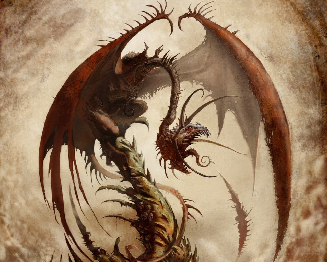 two dragons in combat