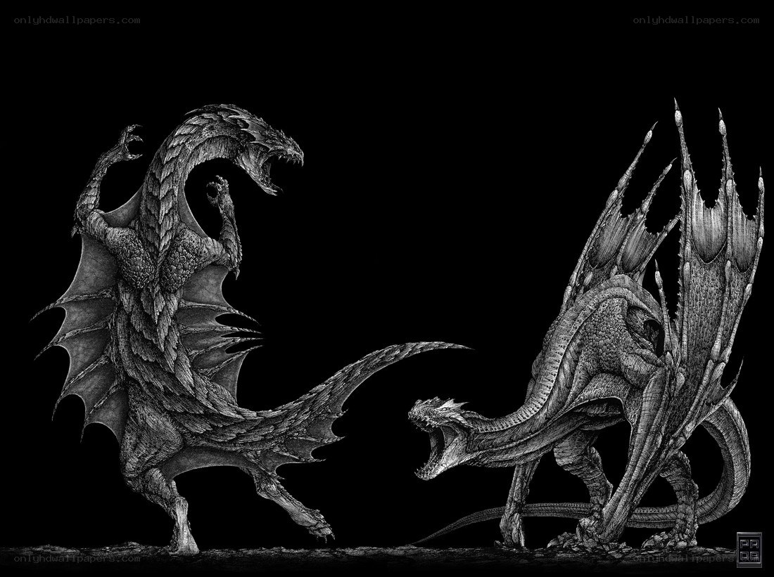 Two dragons in combat