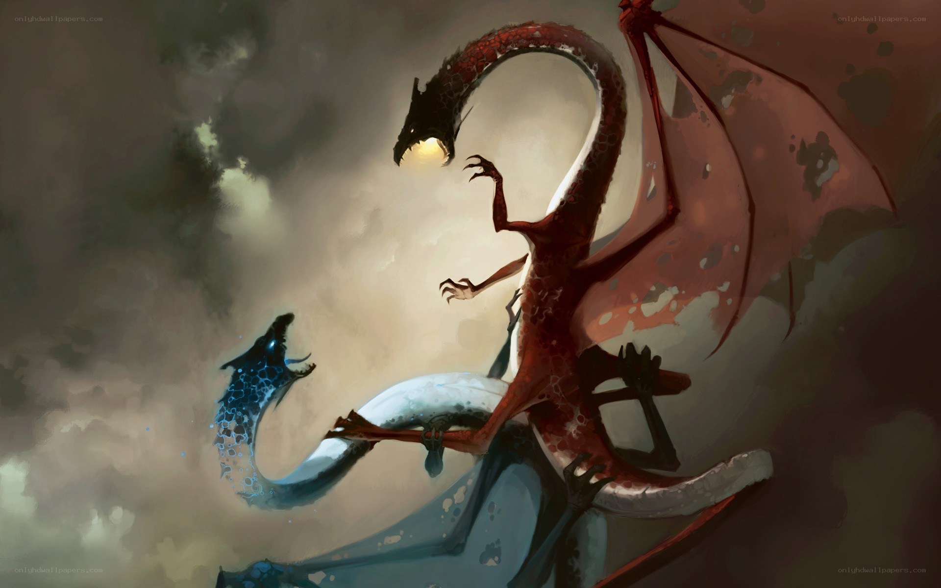 Two dragons in combat