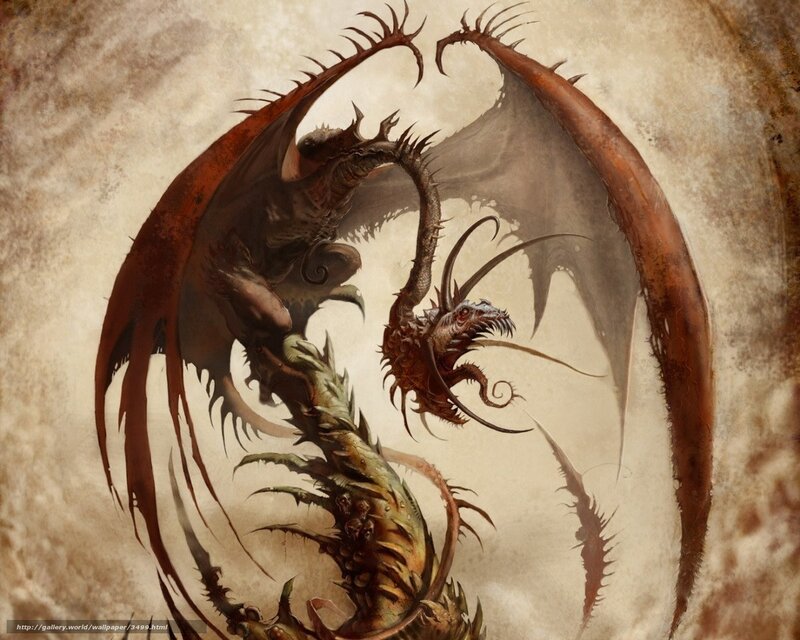 Two dragons in combat