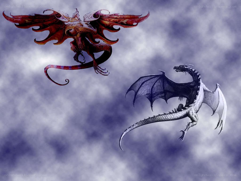 Two dragons in flight