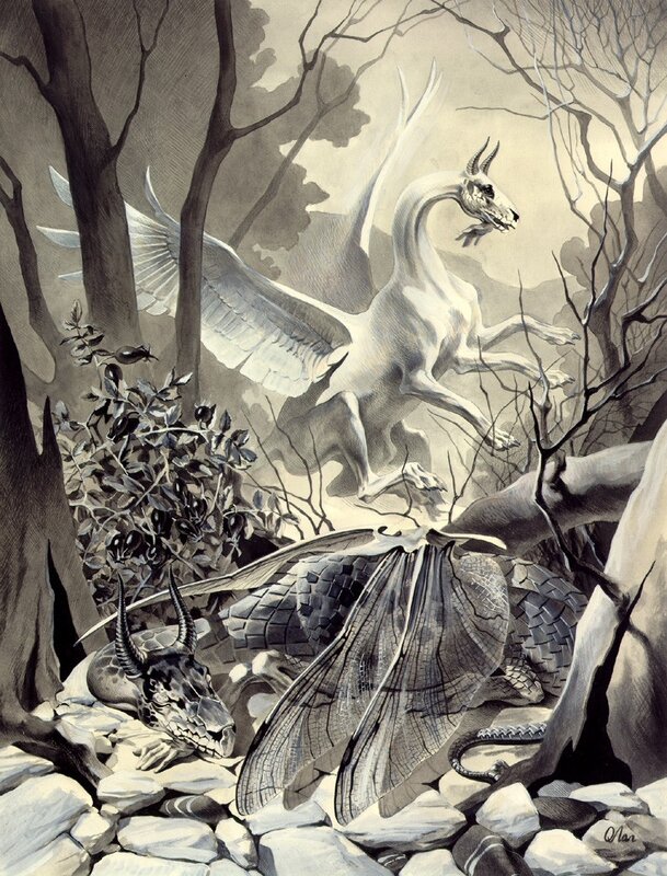 Two Dragons in Forest — Black