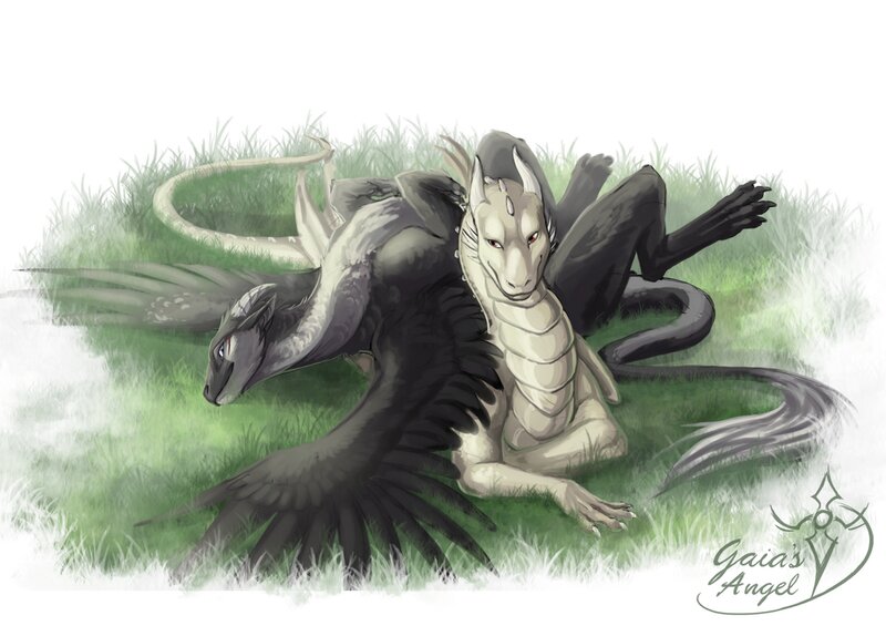 Two Dragons in Grass