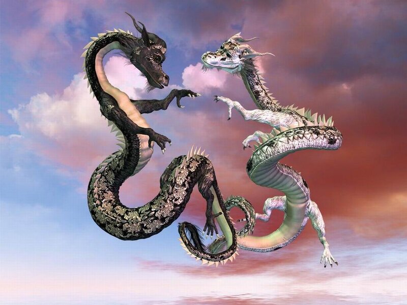 Two Dragons in Sky