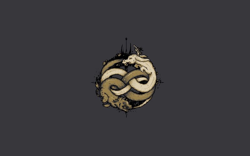 Two Dragons Intertwined