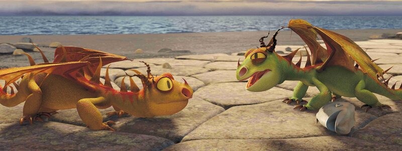 two dragons on a beach