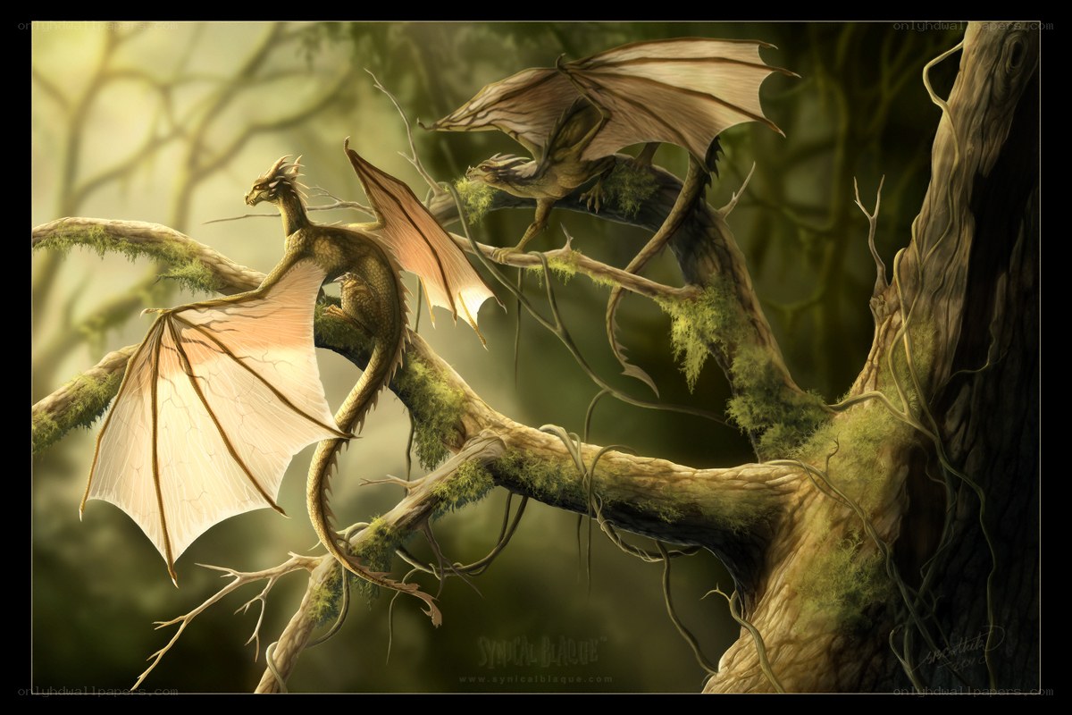 Two dragons on a tree branch