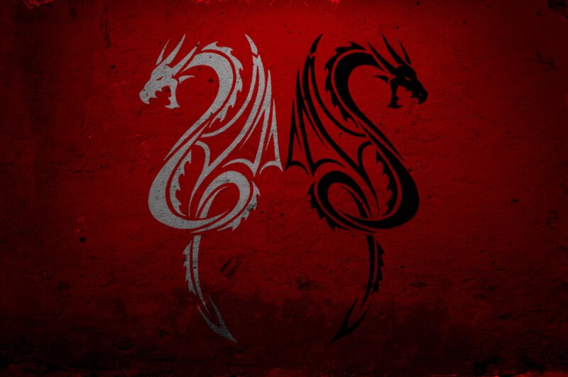 Two dragons on red background