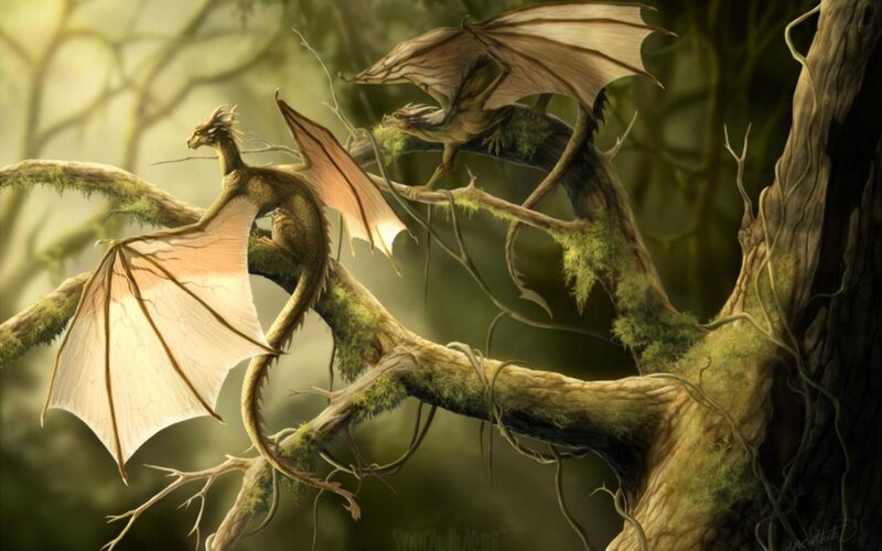 Two Dragons on Tree