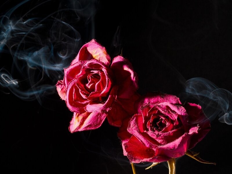 Two Dried Roses — Red