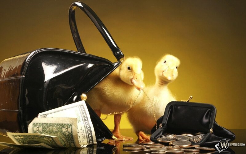 Two Ducklings with Money — Yellow