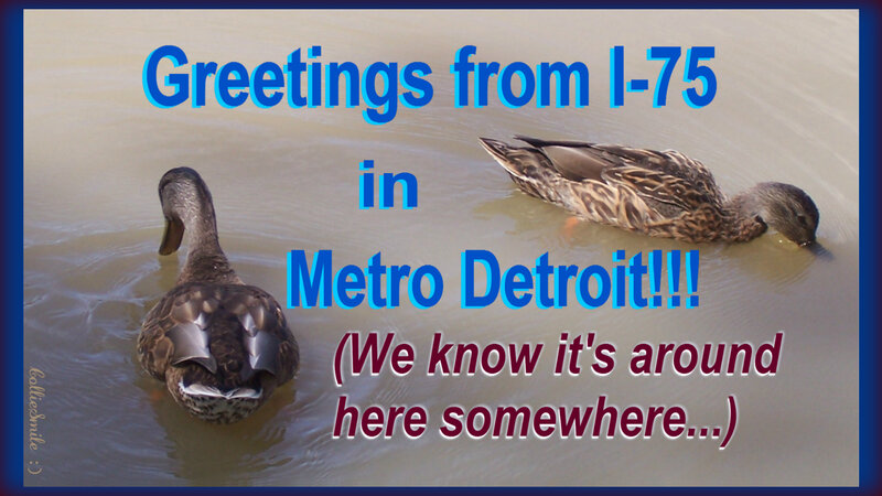 Two Ducks in Water — Blue, Humorous